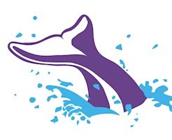 Your Amazing Alaska Adventure Awaits!